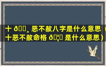 十 🌸 恶不赦八字是什么意思（十恶不赦命格 🦊 是什么意思）